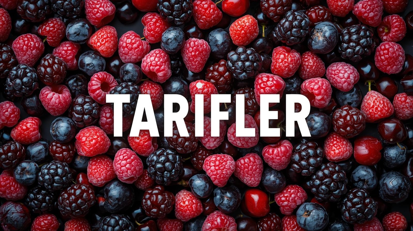 Dondurulmuş Gıda Tarifleri